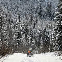 Tourist riding snowmobile in snow, Sun Peaks Resort, Sun Peaks, British Columbia, Canada - 352617798