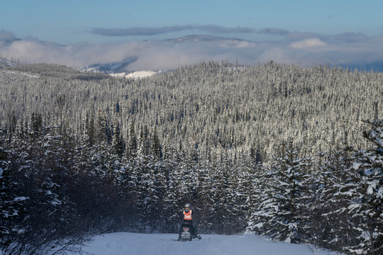 Tourist riding snowmobile in snow, Sun Peaks Resort, Sun Peaks, British Columbia, Canada