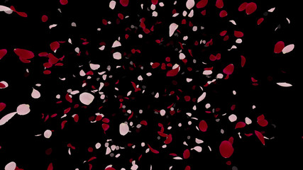 Fototapeta na wymiar Rose Petals Flower fluttering 3D illustration background