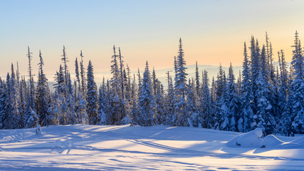 Obraz premium Scenic view of landscape at ski resort, Sun Peaks Resort, Sun Peaks, British Columbia, Canada