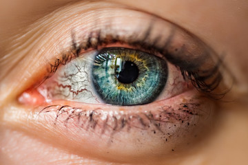 The female turquoise eye is very close-up, with prominent capillaries.