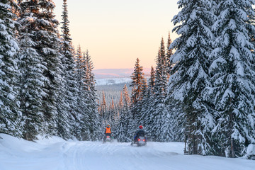 Tourists riding snowmobiles in snow, Sun Peaks Resort, Sun Peaks, British Columbia, Canada - 352618570