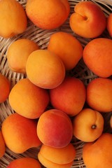 Delicious fresh apricots on the table macro