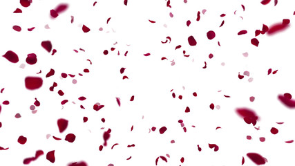 Rose Petals Flower fluttering 3D illustration background