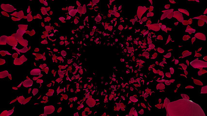 Rose Petals Flower fluttering 3D illustration background