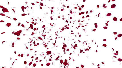 Rose Petals Flower fluttering 3D illustration background