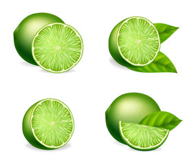 Realistic Detailed 3d Fresh Lime Set. Vector