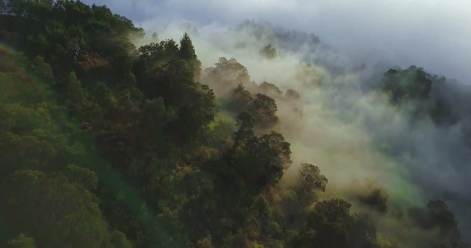 Aerial View Mystic Fog In The Forest, Clouds And Mountain View