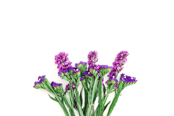 Obraz premium Purple flower and birthaday card on white background.