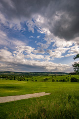 spring looking grassland, small gold course and flowers with sunrays in the sunrise