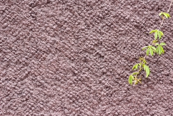 brown and green vine wall texture