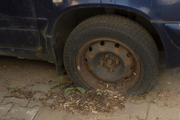 An old rusty tire wheel grew into the ground, overgrown with grass and leaves. Auto trash.