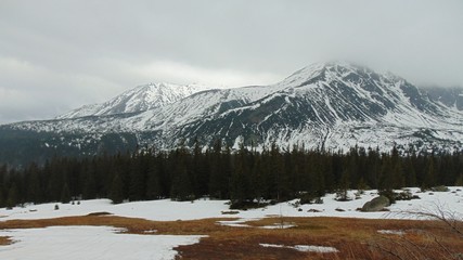 Fototapeta premium Droga na Kasprowy wierch szlakiem turystycznym w tatrach