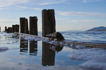 The reflection of the old pipeline post in the basin area of the great salt lake utah. 