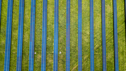 aerial view of solar panels on green lawn on sunset. drone shot, bird's eye...