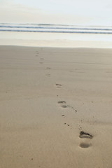 Footprints left behind by a person walking on the beach sand to the sea water. Vertical background with copy space.