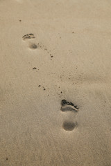 Human left foot footprint on the beach sand in close up shot. Vertical copy space background.