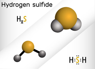 Hydrogen sulfide, hydrosulfuric acid, H2S molecule. It is highly toxic and flammable gas with foul odor of rotten eggs.  Structural chemical formula and molecule model