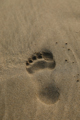 Human left foot footprint on the beach sand in close up shot. Vertical copy space background.