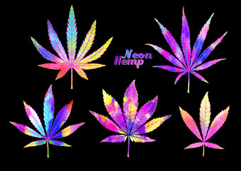4 grades of cannabis leaf set sativa, indica, hybrid, ruderalis. Clip art, set of elements for design. Vector illustration in neon colors.