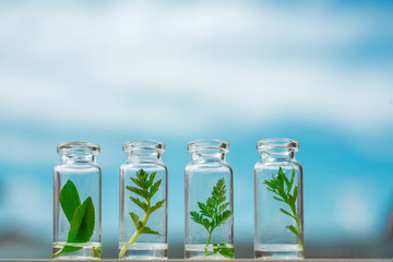 Glass bottles, test tubes with plant sprouts on background blue sky. Natural skin care, organic cosmetics and food. Concept of alternative medicine