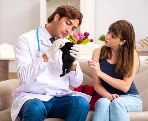 Vet doctor visiting sick kittens at home