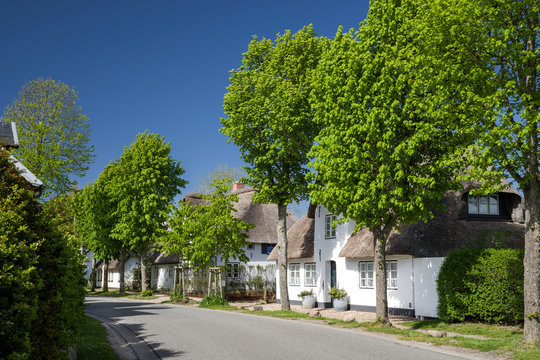 Dorfstra&szlig;e mit Friesenh&auml;usern auf F&ouml;hr