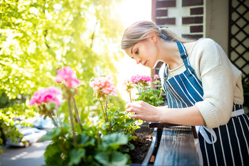 Fototapeta premium Woman looking at flowers on balcony checking for pests and diseases
