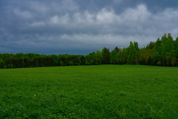 Picturesque landscape consisting of green meadow, forest and dark gloomy sky