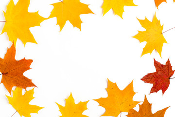 Naklejka na ściany i meble Autumn composition, maple leaves, top view, flat lay. Border made from color falling maple leaves