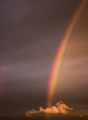 Fototapeta premium Rainbow