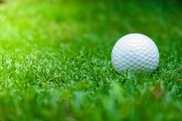 Green grass with golf ball close-up in soft focus at sunlight. Sport playground for golf club concept ,Golf ball on tee ready to be shot