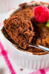 Mug Chocolate Cake. Instant Chocolate Cake in Portion Bowl. Selective focus.