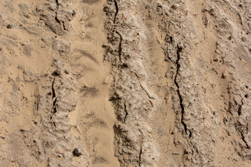 fragment of dried field after dust storm