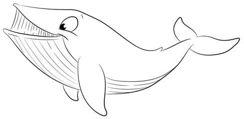 Niedlicher Blauwal - Vektor-Illustration