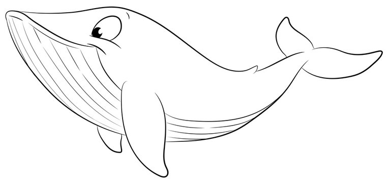 Niedlicher Blauwal - Vektor-Illustration