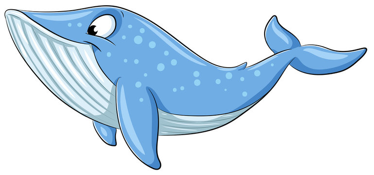 Niedlicher Blauwal - Vektor-Illustration