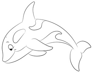 Niedlicher Orca - Vektor-Illustration