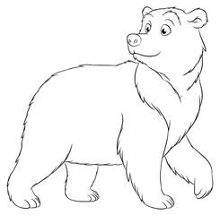 Niedlicher Bär - Vektor-Illustration