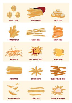 All kinds of fries, pommes frites large vector poster