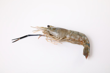 Raw prawn isolated in white baackground