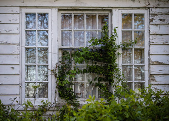 old wooden window with flowers. 