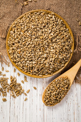 Sunflower Kernels Roasted Seeds Background. Selective focus.