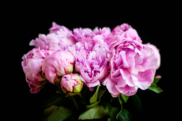 bouquet of pink peonies in vase