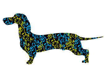 Dog breed Dachshund vector illustration. Elegant silhouette of a Dachshund dog with an ornament.