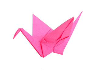 Pink origami bird on white background