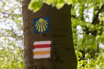 wooden sign in the woods