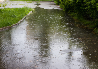 Circles from spring rain in a puddle. Rain in the spring draws circles in a puddle