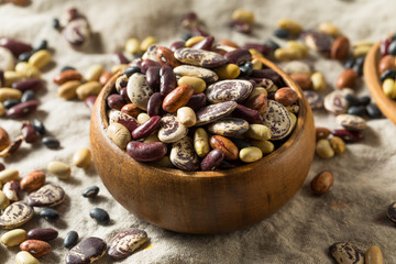Raw Dried Organic Bean Assortment
