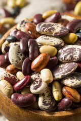 Raw Dried Organic Bean Assortment